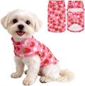 EXPAWLORER Soft Cat Sweater by EXPAWLORER