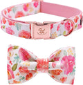 Elegant little tail Dog Collar by Elegantlittletail