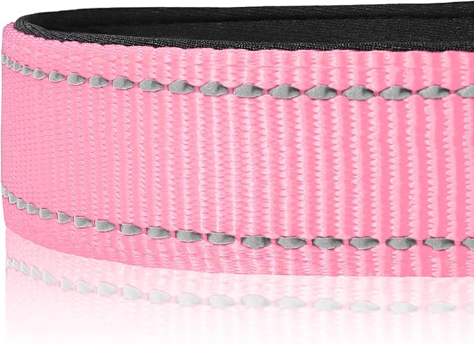 Joytale Reflective Dog Collar, Soft Neoprene Padded, Metal D-Ring, Nylon Pet - Image 4