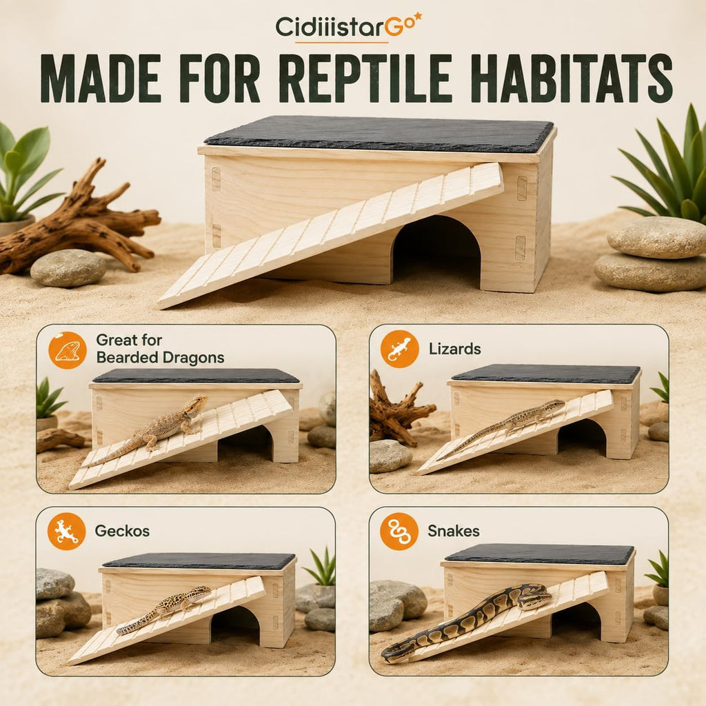 Bearded Dragon Basking Platform with Hideout Ramp & Slate Top