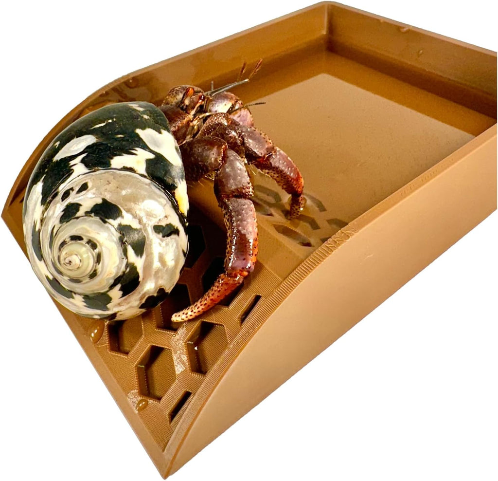 Lucky Critter Hermit Crab Pool with Ramp | Hermit Crab Tank Decor Water Bowl | Hermit Crab Decoration Accessories Supplies Toys Ornaments | Hermit Crab Habitat Enrichment Toy