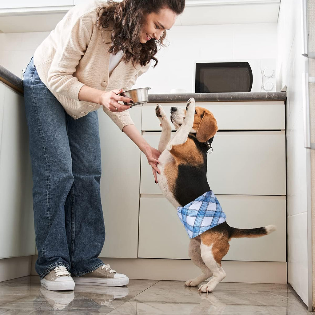 Pet Soft Dog Belly Bands - Washable Dog Diapers Belly Band for Male Dogs, Reusable Male Dogs Wraps 3pack for Doggy Puppy (Blue Plaid, M)