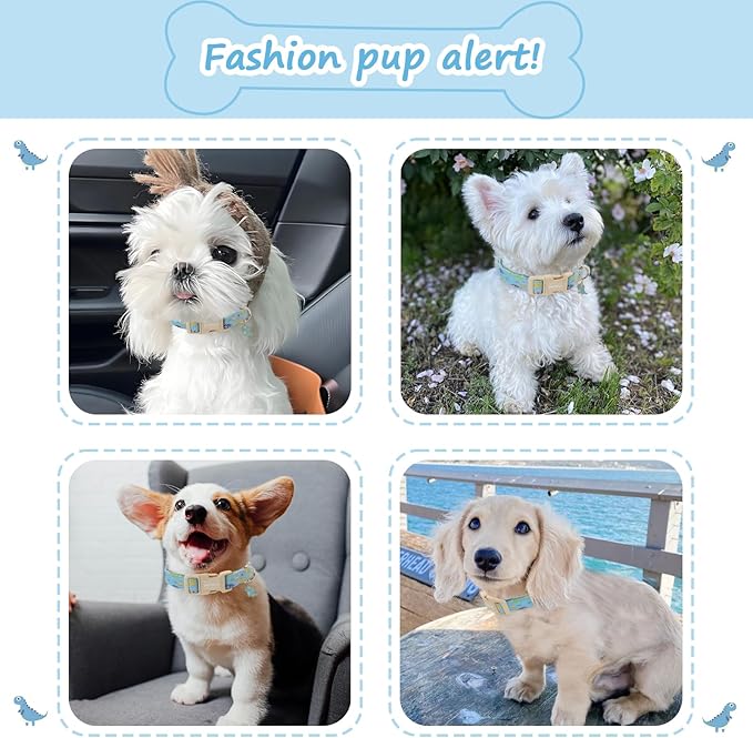 Dinosaur Dog Collar for Extra Small Dogs, Cute Puppy Collars - Image 3