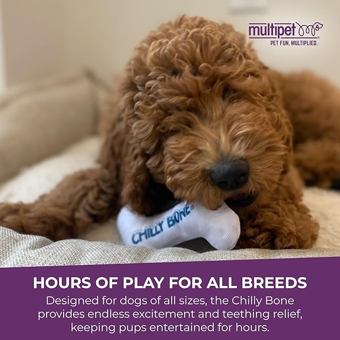 Multipet Chilly Bone Dog Toy - Image 8