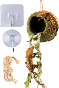 Reptile Hide with Hanging Climbing Ladder – Handmade Crested Gecko Tank Accessories, Hide for Crested Gecko, Hermit Crab, and Small Reptiles