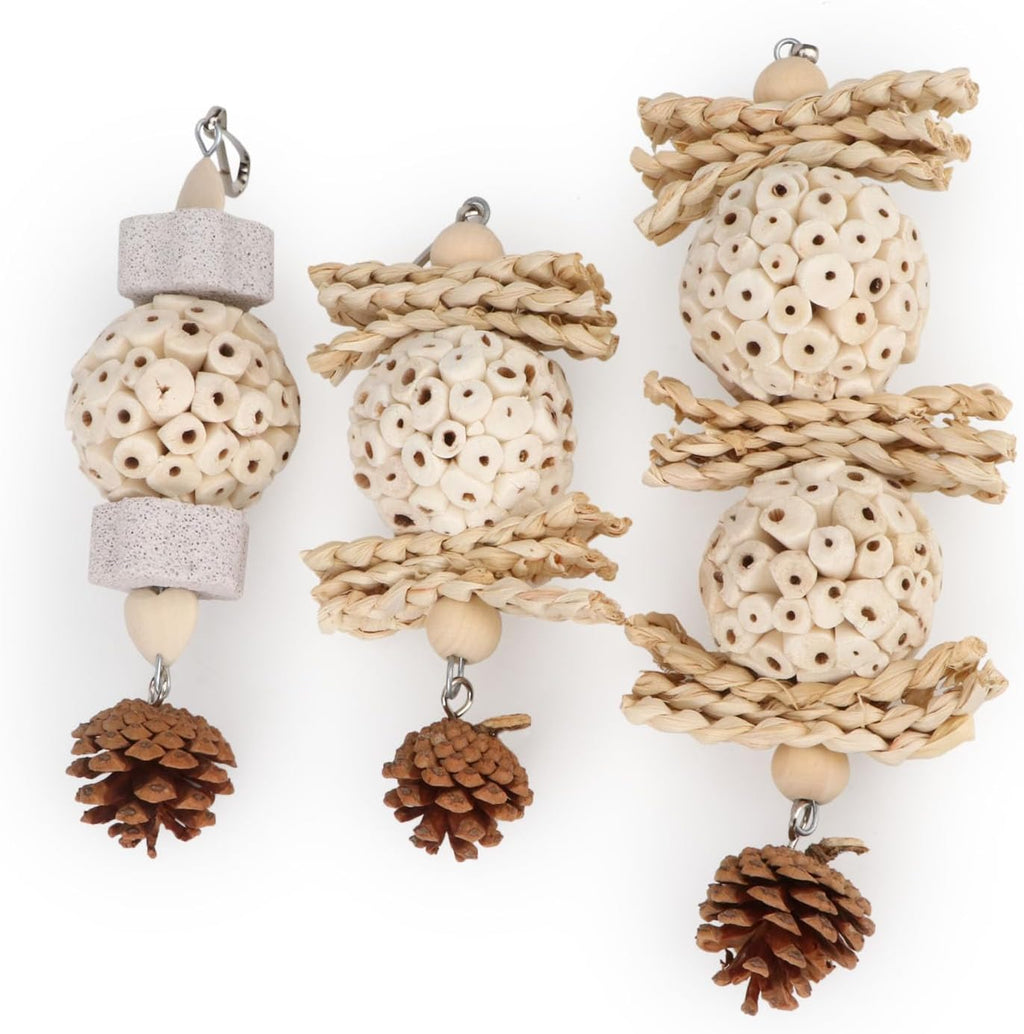 Wontee Bird Toys 3 Pack Parrot Foraging Hanging Toys Sola Ball Natural Nuts Chew Toys for Cockatiels Conures Parakeets Budgies Senegal (3 Pack)
