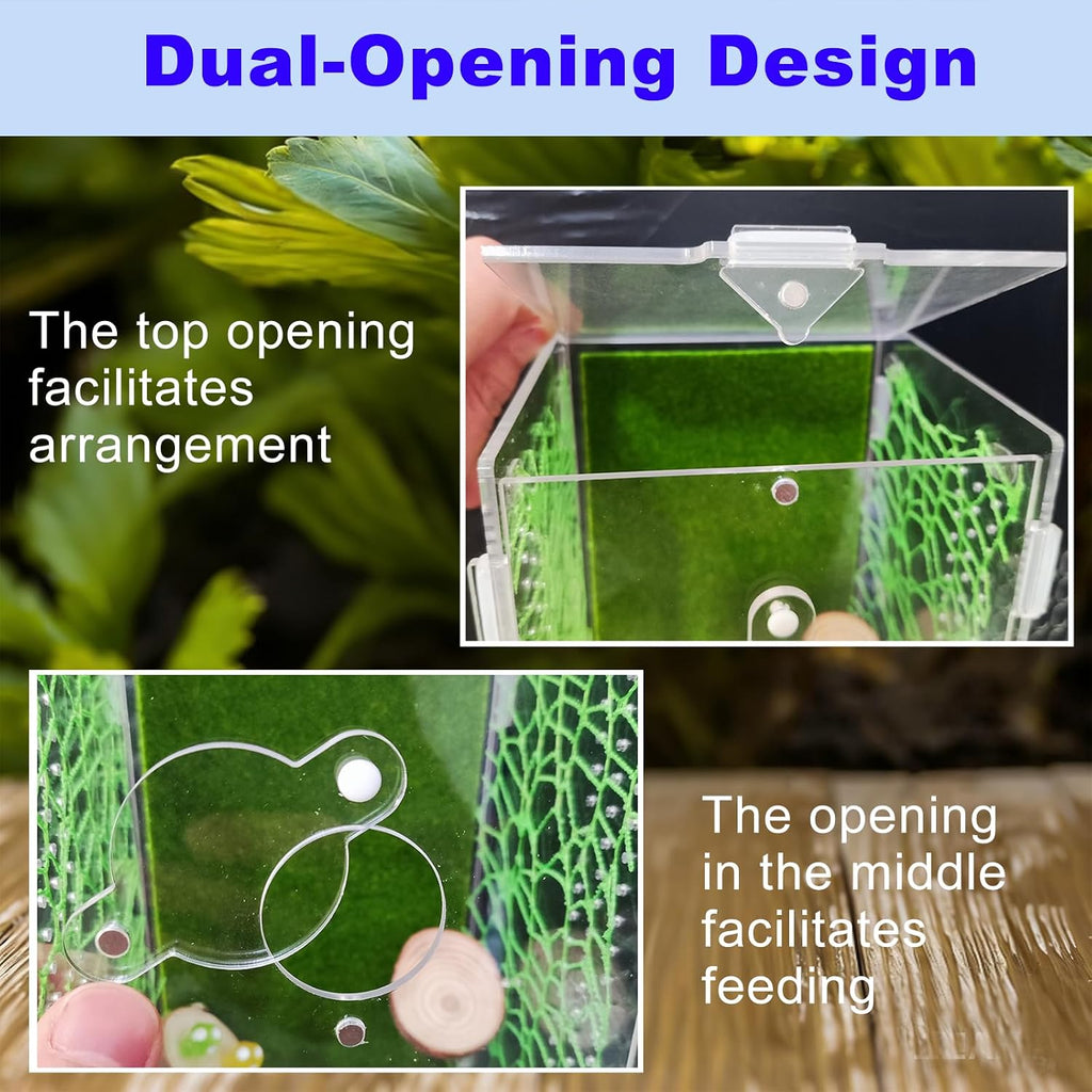 Acrylic Jumping Spider Enclosure,Reptile Enclosure,Bug Habitat, for Small Tree Dwelling Reptiles,Arboreal Tarantula Enclosure, Spider Terrarium Kit,Plastic Terrarium(4.7" X 4.7" X 8")