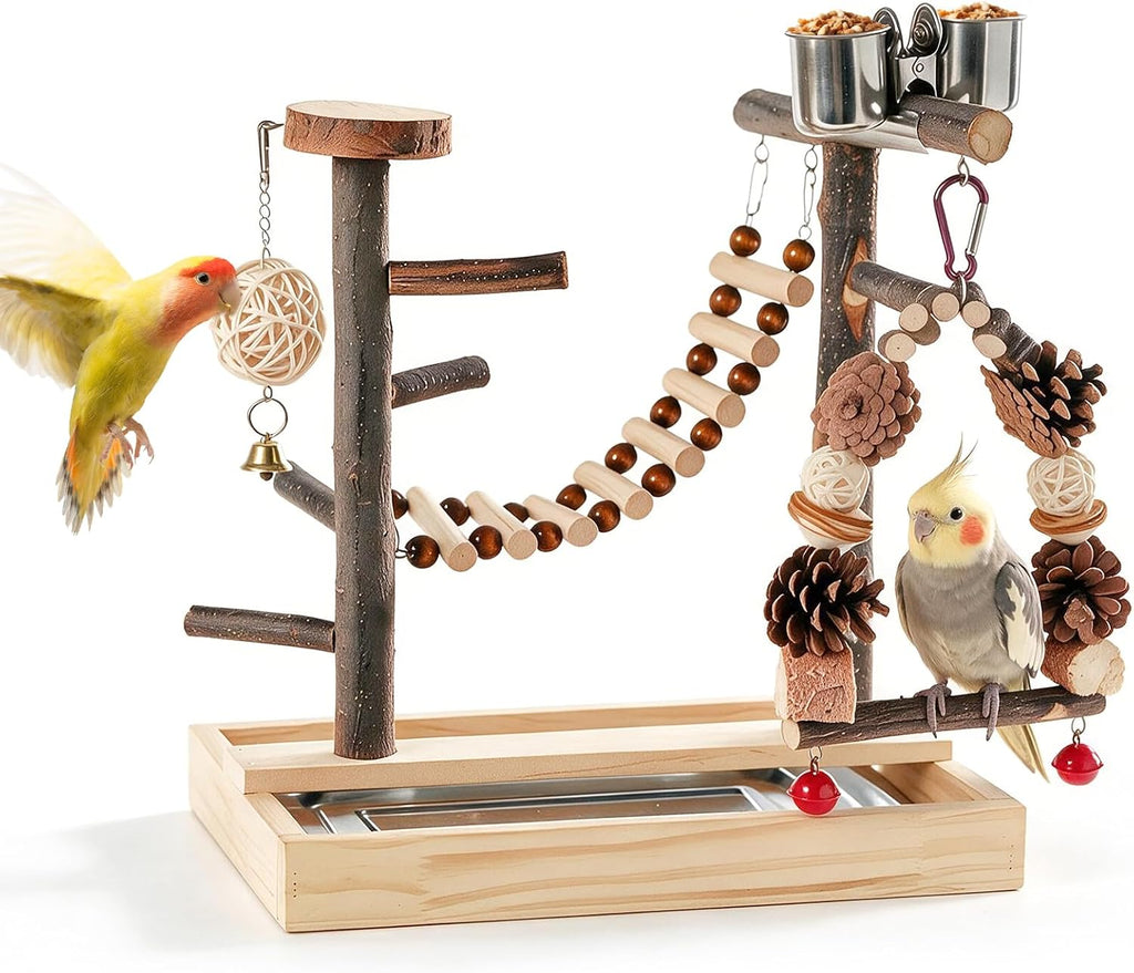 Bird Playground Wooden Parrot Stand Tabletop Parrot Play Gym