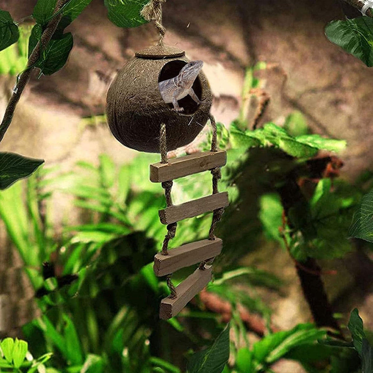 PINVNBY Crested Gecko Coco Hut with Ladder Natural Lizard Coconut Shell Hideout Home Mini Condo for Reptiles Durable Cave Habitat with Hanging Loop Coconut Texture Provide Food for Pets