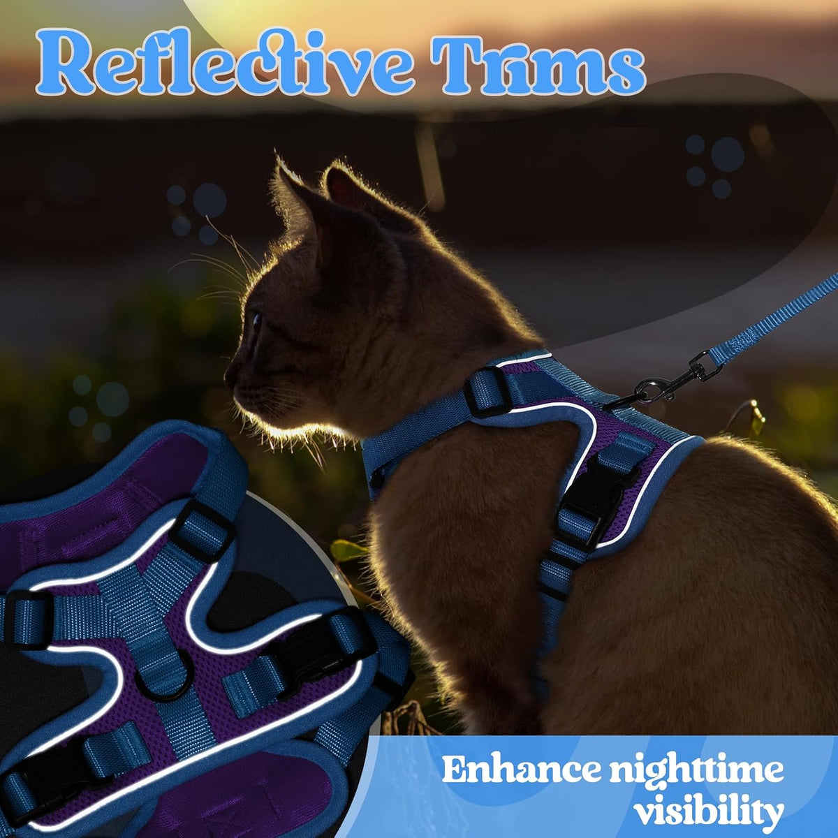 rabbitgoo Cat Harness and Leash Set, Escape Proof, Purple & Blue