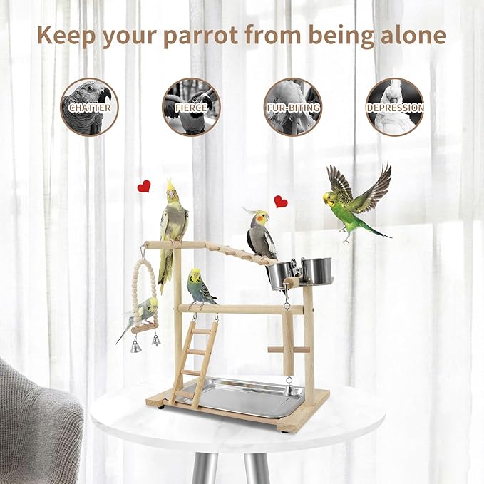 Bird Playground, Playstand for Parrot Cage Accessories - Image 3