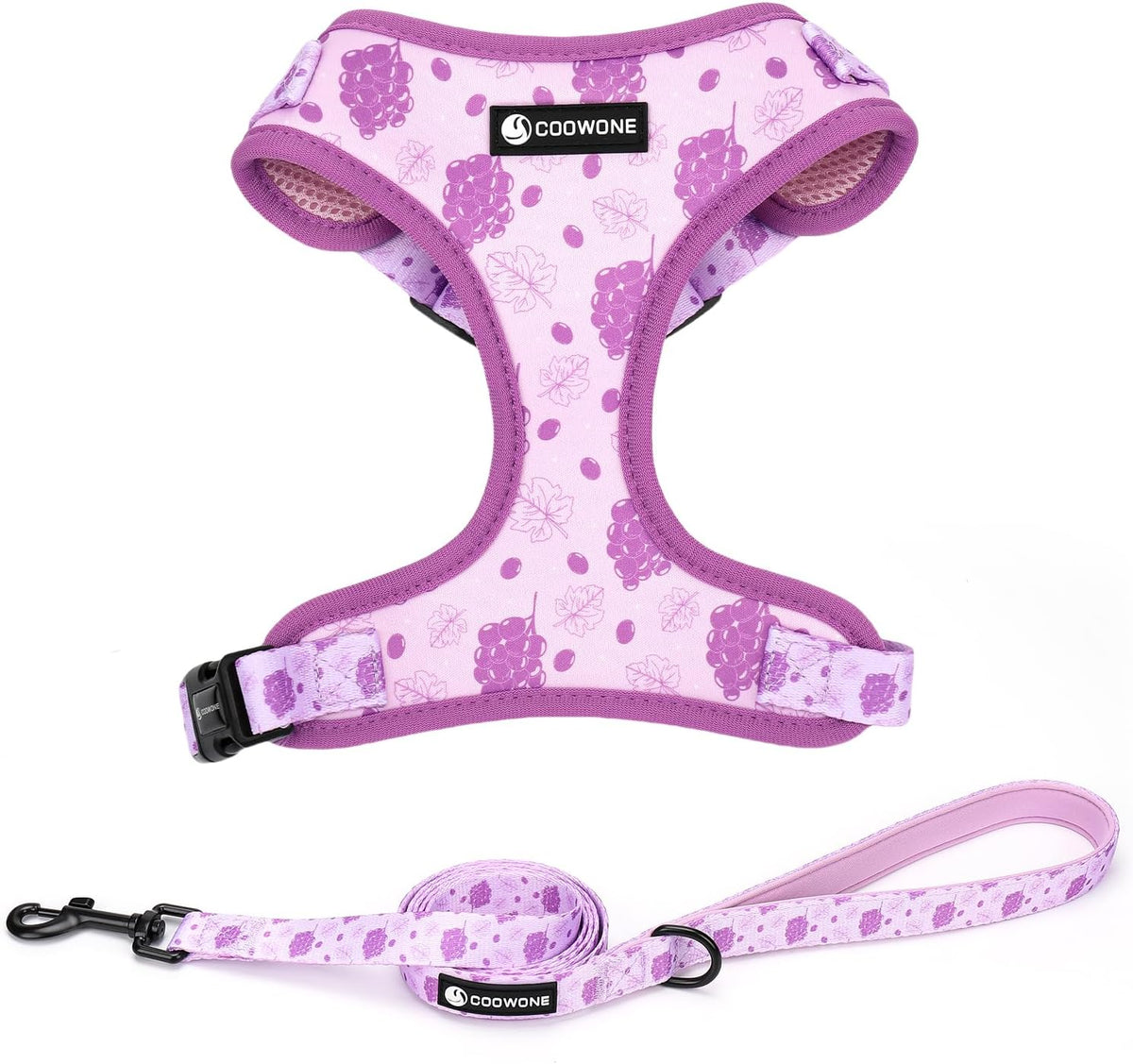 Dog Harness and Leash Set, Adjustable Dog Harness, Dog Leash, No Pull No Choke Puppy Harnesses for Walking Training for Small Medium Pet