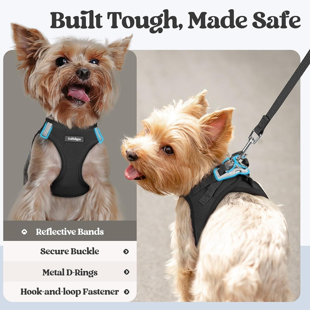 rabbitgoo Dog Harness Small Sized and Leash Set, Step-in Puppy Pet Vest