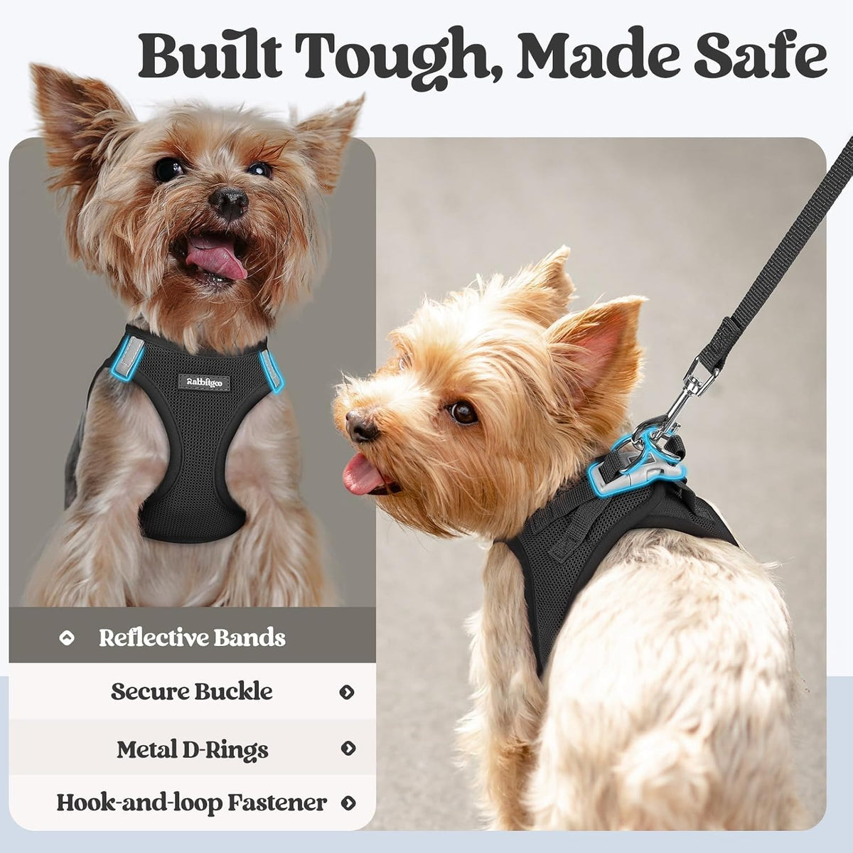 rabbitgoo Dog Harness Small Sized and Leash Set, Step-in Puppy Pet Vest