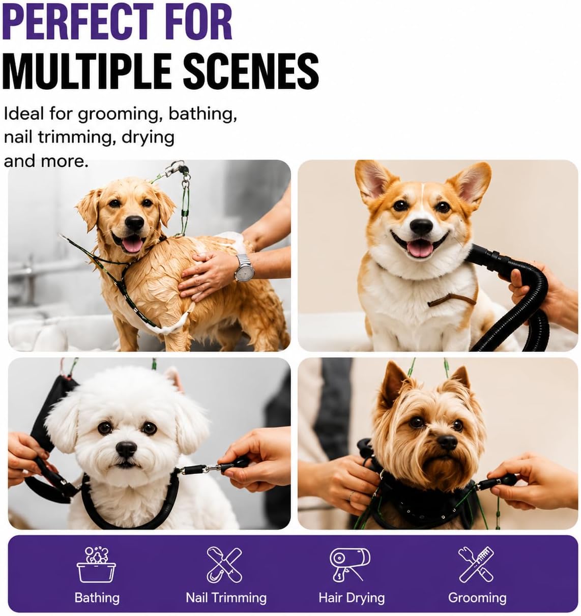 Adjustable Dog Grooming Arm & No-Sit Holder, Height 26"-40