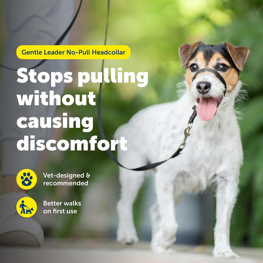 PetSafe Gentle Leader No Pull Dog Headcollar, Black, Small