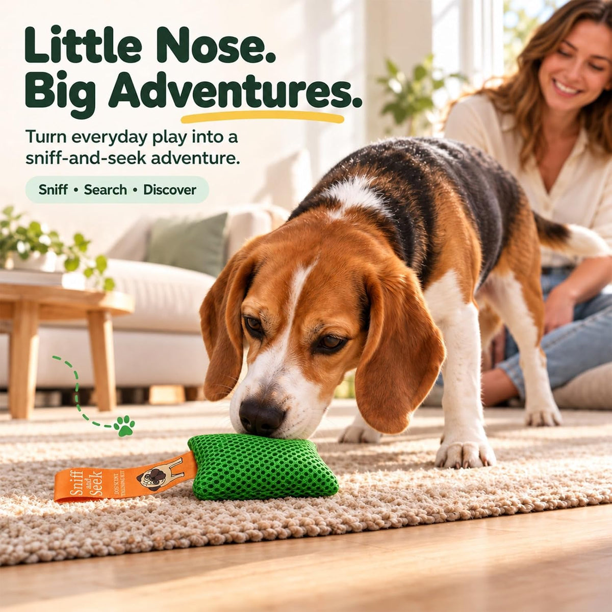 Dog Scent Training kit, Brain Games, Hide and Seek Toys - Fun Nose Work Games, Sniff and Seek Sniffing Toys, Nosework Kit, Scent Work Kit for All Ages Dog (Green)