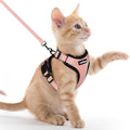 rabbitgoo Cat Harness and Leash by rabbitgoo