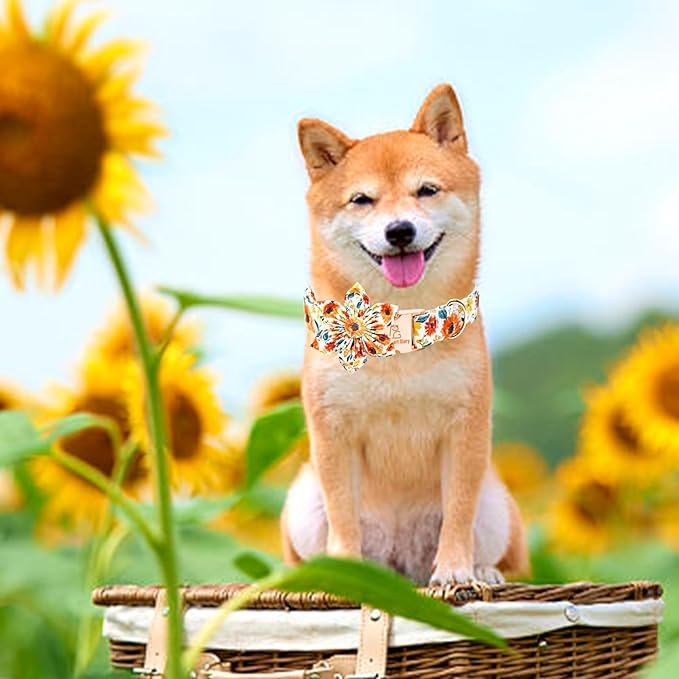 Lionheart Glory Floral Dog Collar - Image 6