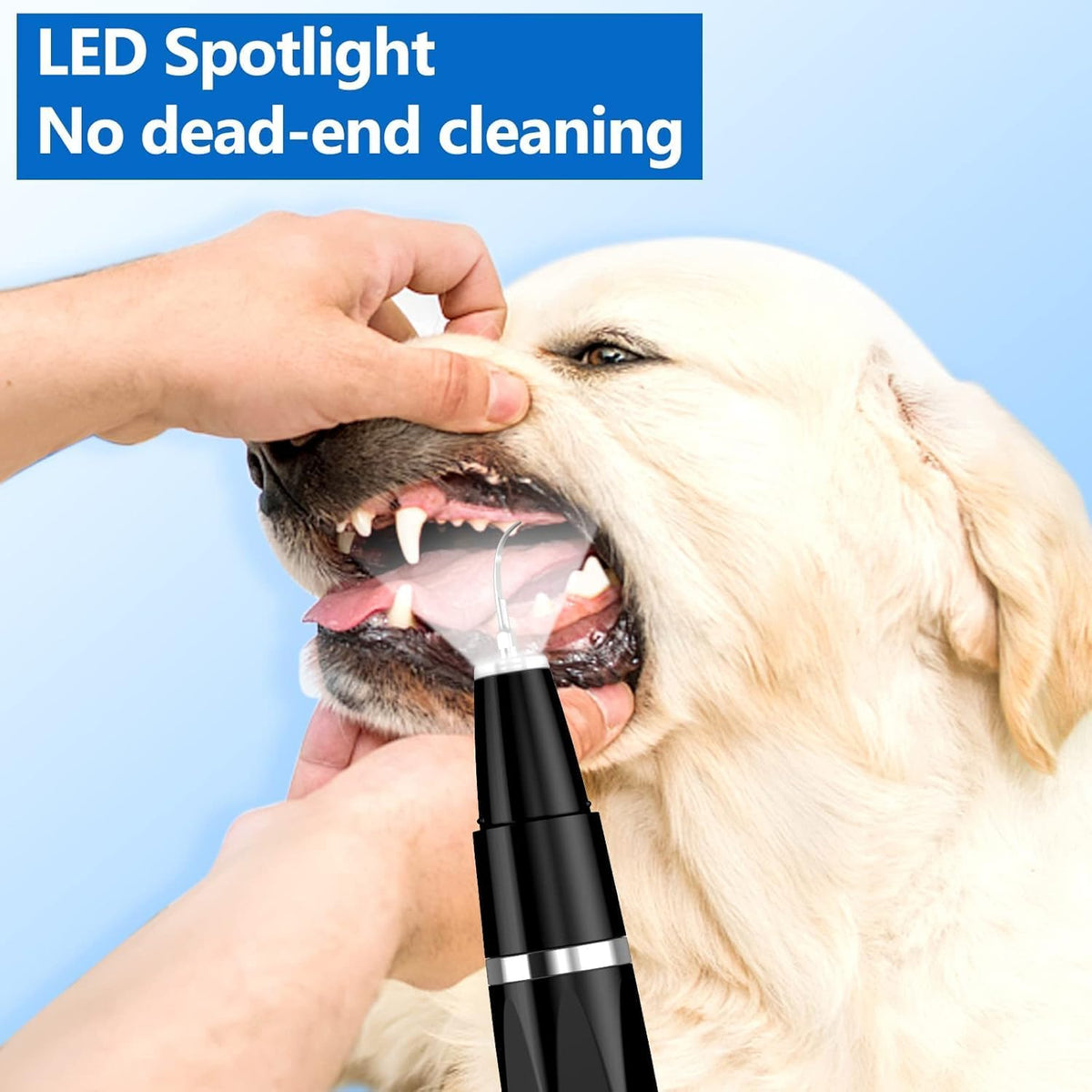 Ni-SHEN Plaque Remover for Teeth - Pet Ultrasonic Cleaner - Teeth Cleaning Kit for Tartar and Stains - Suitable for Dogs and Cats (Black)