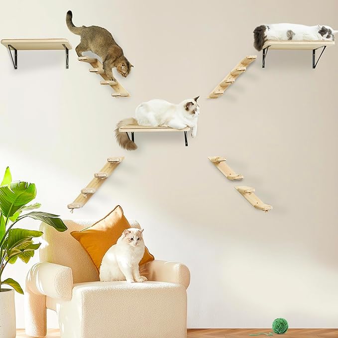 Cat Wall Furniture Set - Image 8