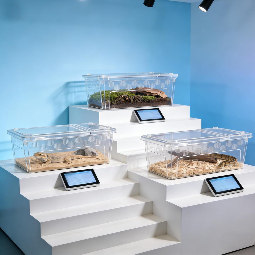 3Pcs Reptile Feeding Box Set, 3-Size Plastic Reptile Critter Keeper with Tags, for Isopods Snails Sling Geckos Frog Spiders Turtles Scorpion Serpents Tarantulas and Breeding Worms(Clear)