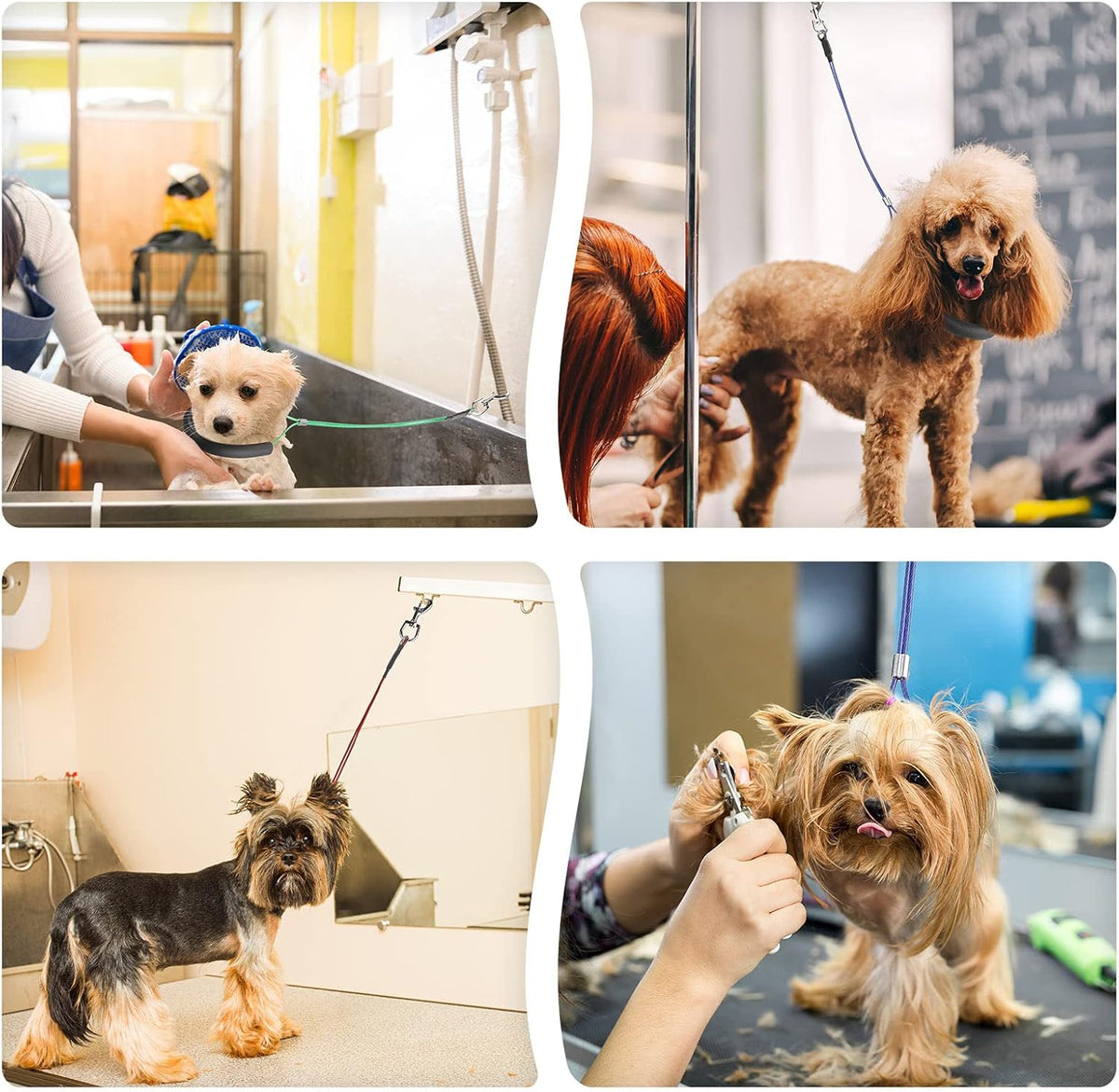 12 Pcs 4 Colors Dog Grooming Loop Noose Restraint Loops Long Noose for Pet Grooming Table Bath Tub Medium Large Small Dog Bathing Station