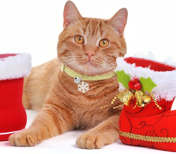 2 Pack Cotton Breakaway Cat Collar - Image 7