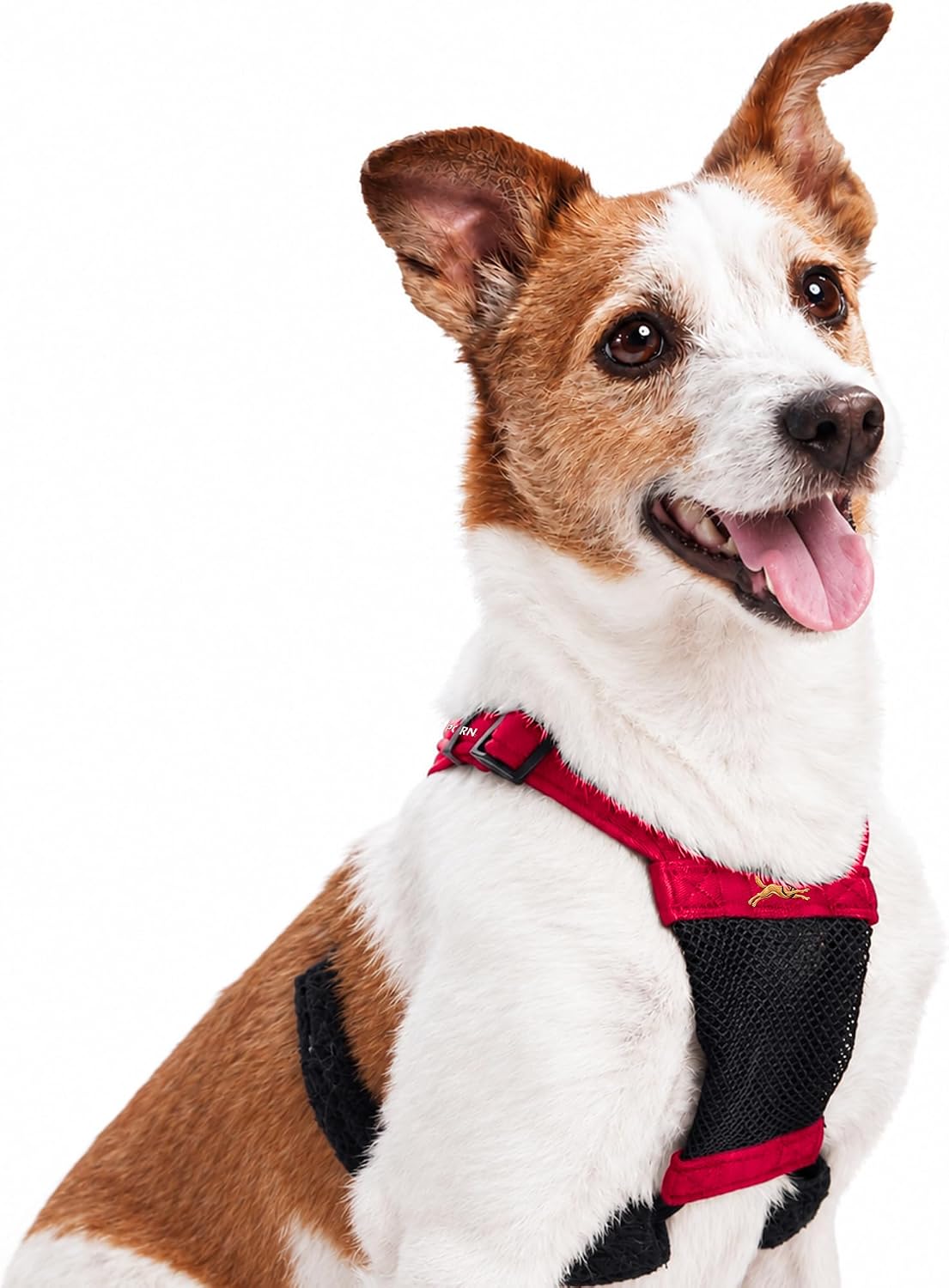 Sporn No Pull Dog Harness, Harness for Dogs, Large/XL, Black