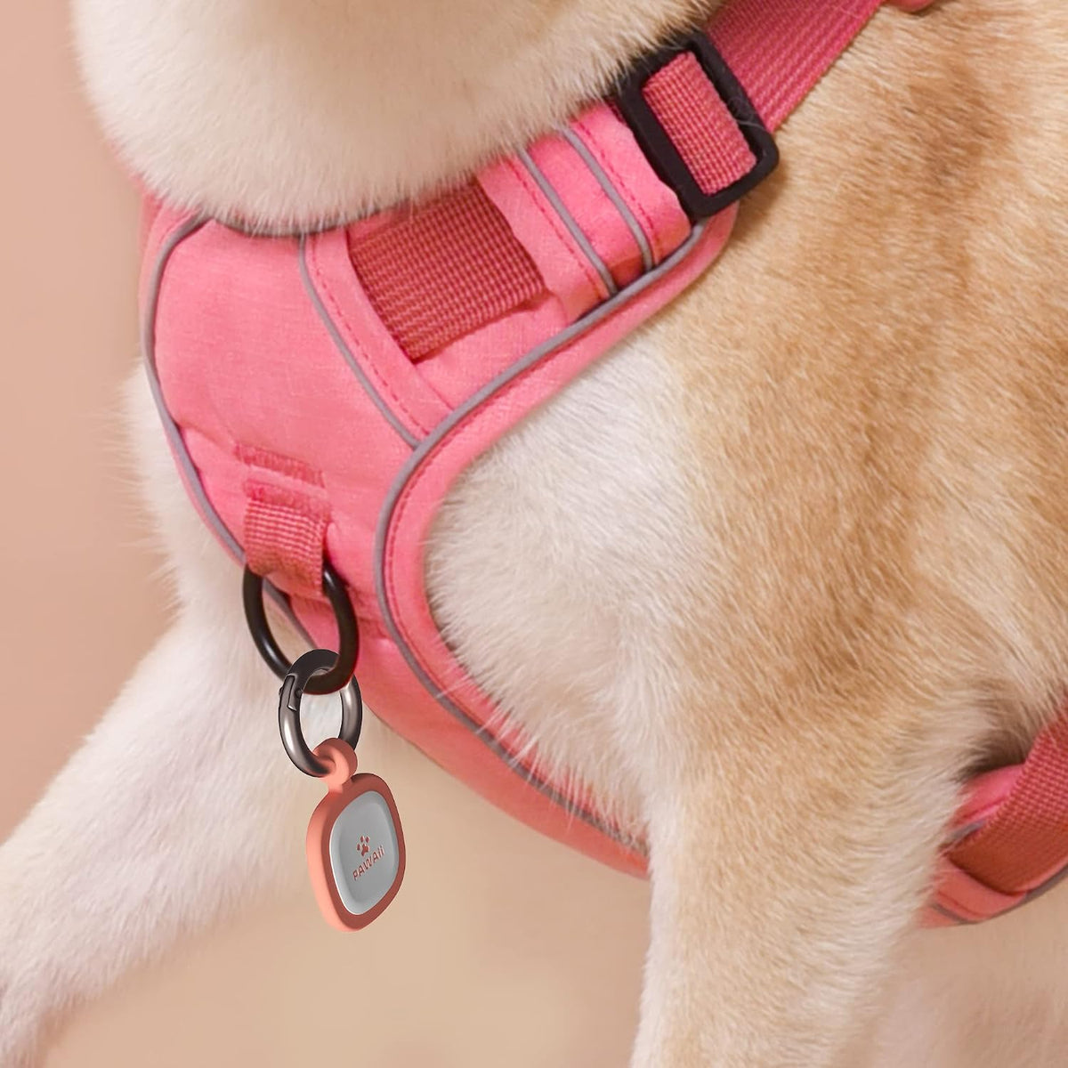Pawaii Dog ID Tag, Silent Silicone QR Code Tag, Scan Alerts, No App, 1 Pack