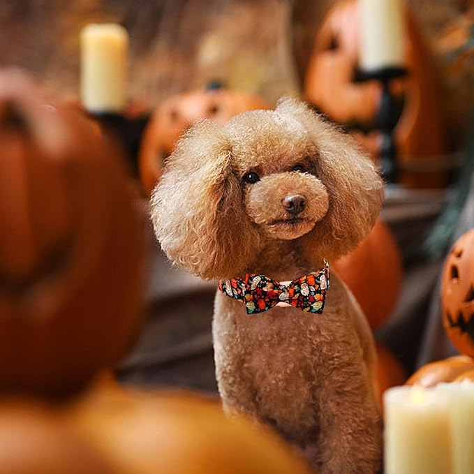 Fall Dog Collar, Leaf Pumpkin Print Adjustable Pet Collar Cute Cotton Soft - Image 6