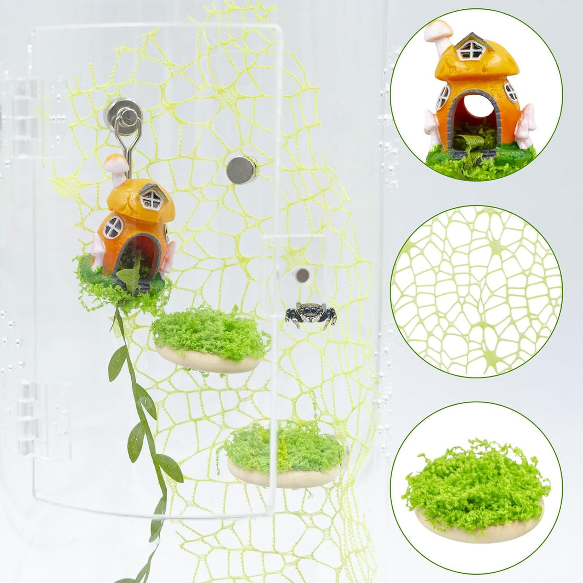 Magnetic Jumping Spider Habitat Decor Set - Mushroom Hideout, Climbing Web & Wood Platforms with Magnets for Enclosure Decoration