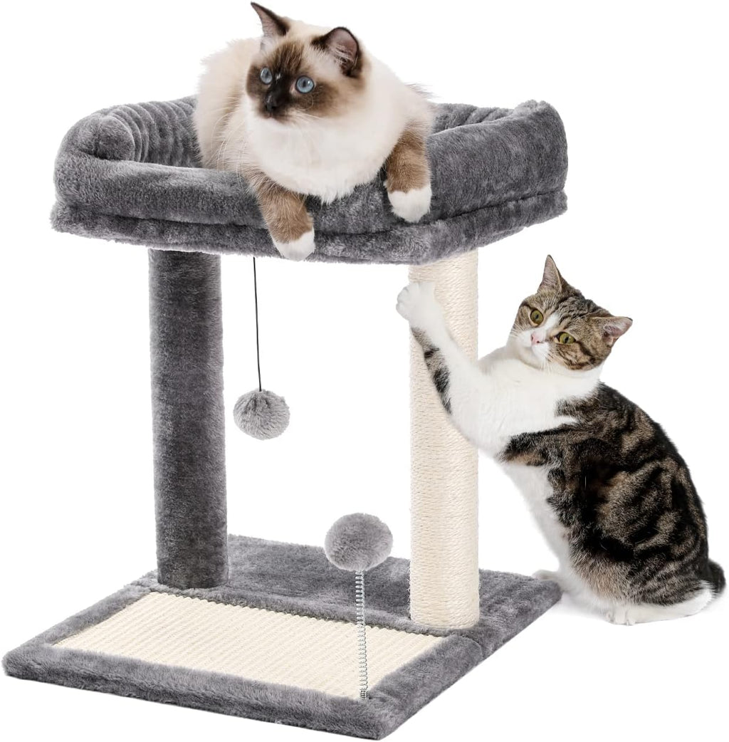 PAWZ Road Cat Scratching Post Bed Bundle with PAWZ Road Cat Tunnel Collapsible S Shape 10.5 Inches in Diameter