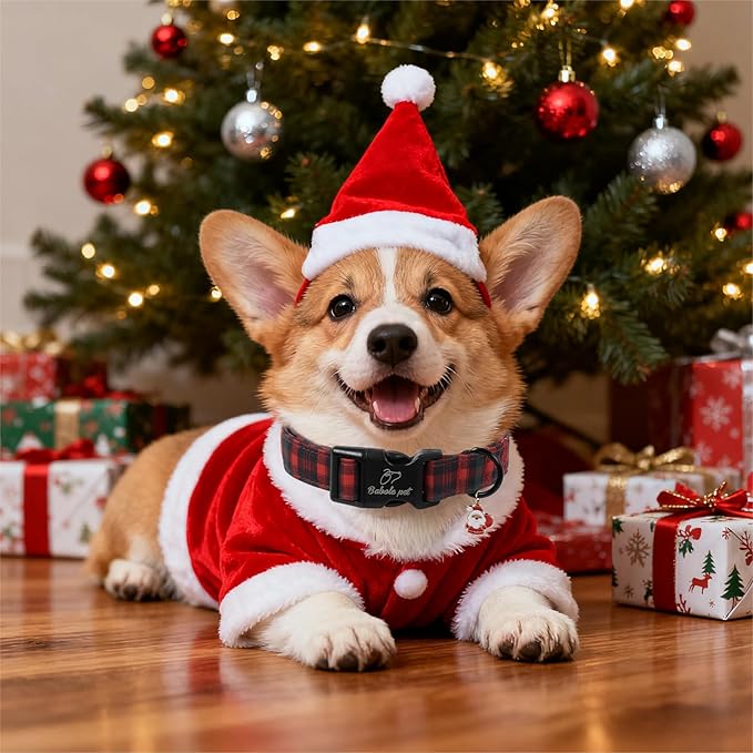 Christmas Dog Collar for Small Dogs - Image 2