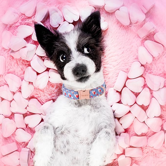Unique style paws Valentine's Day Dog Collar Metal Buckle Collar Blue Pink Love - Image 5