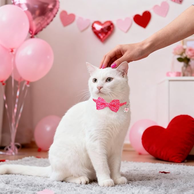 SCENEREAL Valentine's Day Cat Bandana Collars - Image 7
