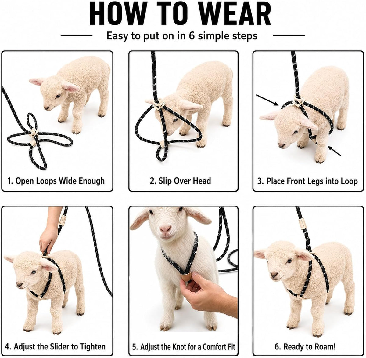 Goat Harness Leash for Mini Goat, Mini Pig