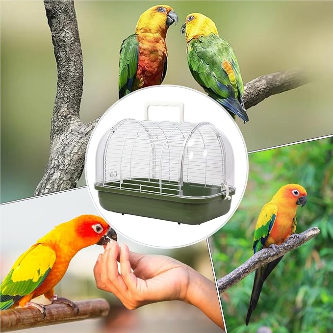 Transparent Small Bird - Image 4