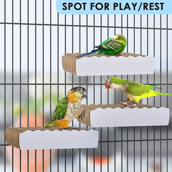 KATUMO Parrot Perch Parakeet Cage Stand Conure Platform Cockatiel Foraging - Image 4
