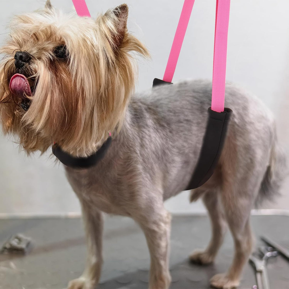 Dog Grooming Belly Strap - 3PCS Grooming Restraint Set Adjustable Belly Band Loops Strap with Padded Support & Loop Extension Straps Pet Grooming Harness Kit for Dogs (Voilet)