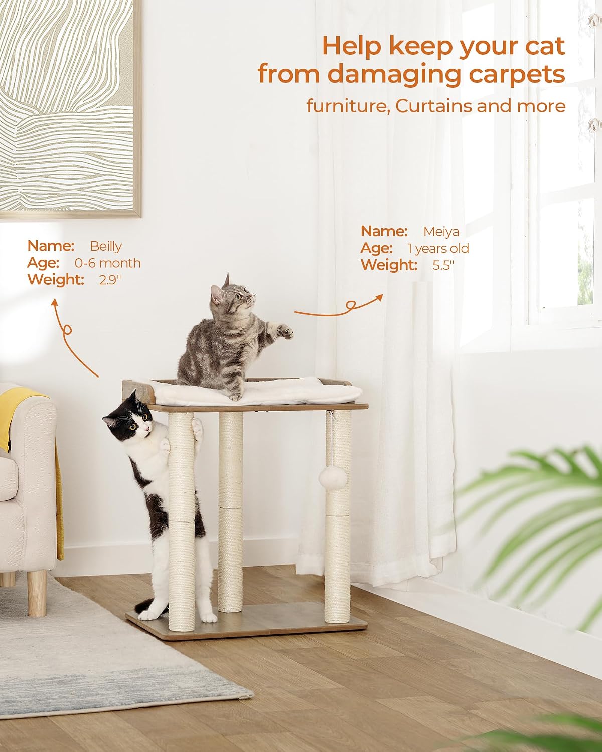 FourFurPets Modern Cat Tree for Large Cats, Full Sisal Cat Scratching Post