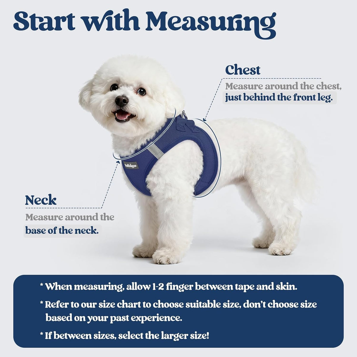 rabbitgoo Dog Harness Small Sized and Leash Set, Step-in Puppy Pet Vest