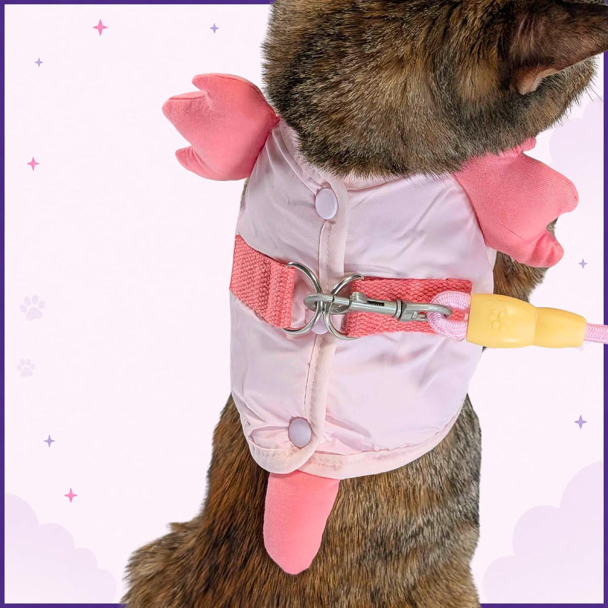 Cat Harness and Leash Set, Step-in Mesh Vest, Pink Axolotl, Small