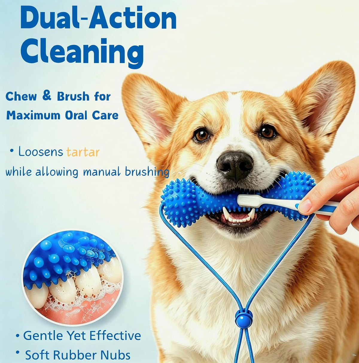2Pcs Dual-Action Canine Dental Prop, Dog Toys Dual-Action Teeth Cleaning Mouth Prop,Pet Oral Care for Small, Dog Dental Chew Toy for Easier Teeth Brushing, Small Medium Large Breeds (Blue)