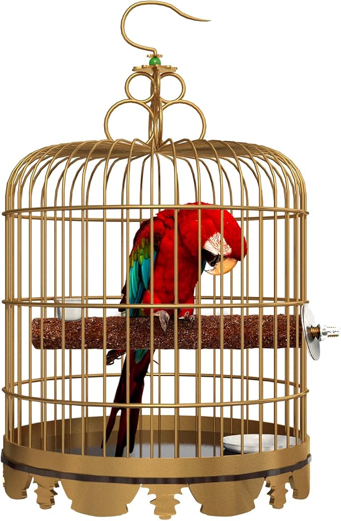 6 Pcs Bird Perch Stand Toy, Wood Parrot Stand Platform Colorful Sand Paw - Image 6