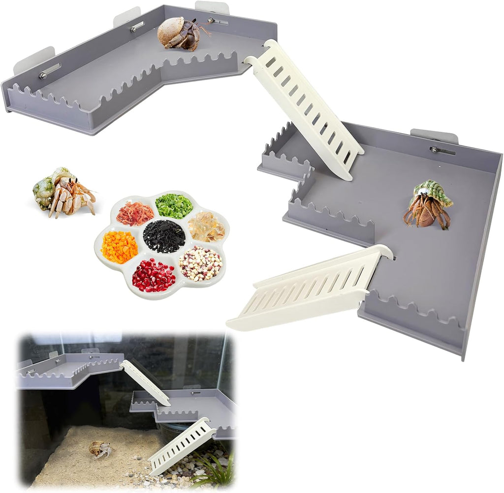 Hermit Crab Climbing Platform Habitat Tank Accessories