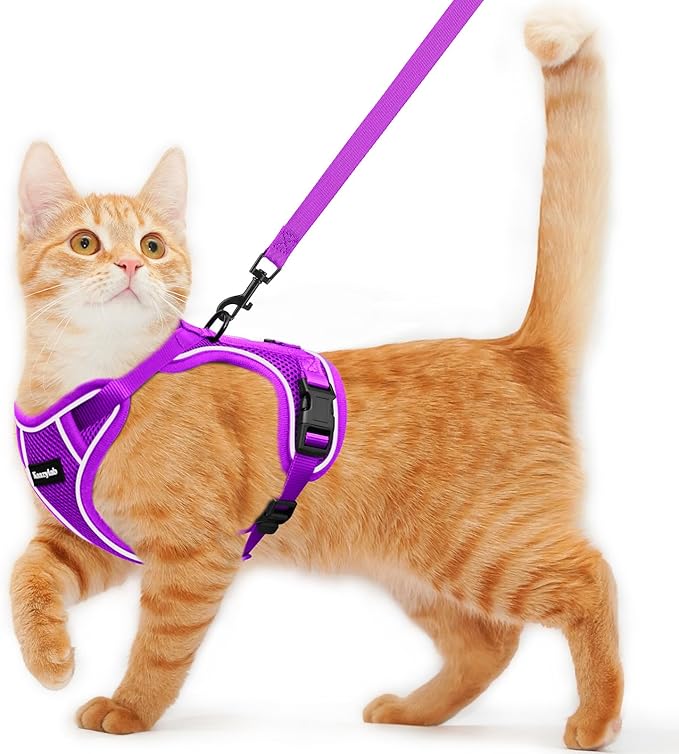 Cat Harness and Leash for Walking Escape Proof Soft Adjustable Cat Leash by Unknown