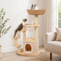 Solid Wood Cat Tree for Kitten & Munchkin, Modern Cat Tower with Low-Rise Steps, Indoor Multi-Level Aesthetic Boho Cat Furniture with Space Capsule, Condo, Hand-Woven Bed,for Minuet & Napoleon