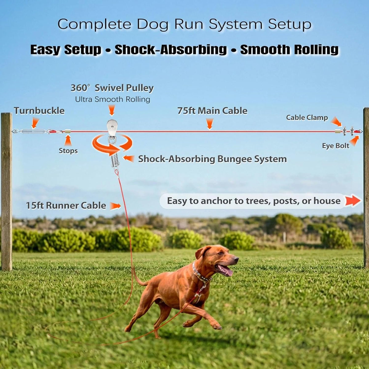 Heavy Duty Aerial Dog Tie Out Trolley System for Small to Large Dogs - Run Cable 100ft /75ft Zipline with 15ft Runner Cable Great for Yard (75 ft for one Dog up to 250lbs)
