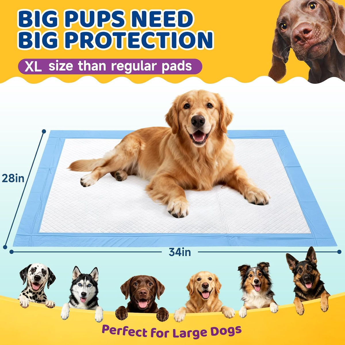 40-Pack Extra Large Super Absorbent Disposable Puppy Pads for Dogs,28x34in|Dog Training Pee Pads, Leakproof Protection,Quick-Dry,Tear-Resistant, Odor Control,Suitable for All Dogs and All Ages